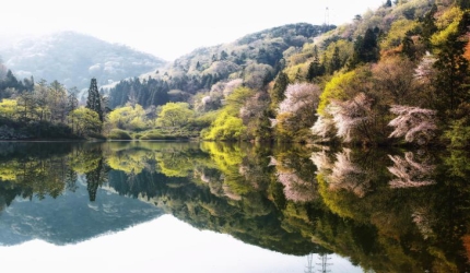 살아있는 수채화, CNN도 주목한 화순 세량지,전라남도 화순군