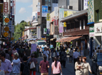 인사전통문화축제,지역축제,축제정보