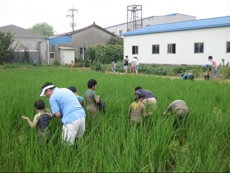 논풀머드축제,지역축제,축제정보