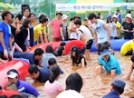 청춘양구배꼽축제,지역축제,축제정보