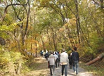 광릉 숲 축제,지역축제,축제정보