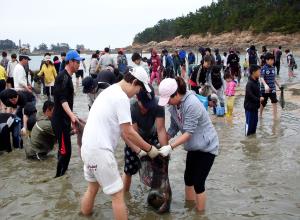 몽산포항 주꾸미&수산물 축제,지역축제,축제정보