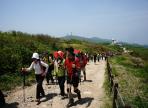 영주소백산철쭉제,지역축제,축제정보