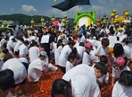 둔내고랭지토마토 축제,지역축제,축제정보