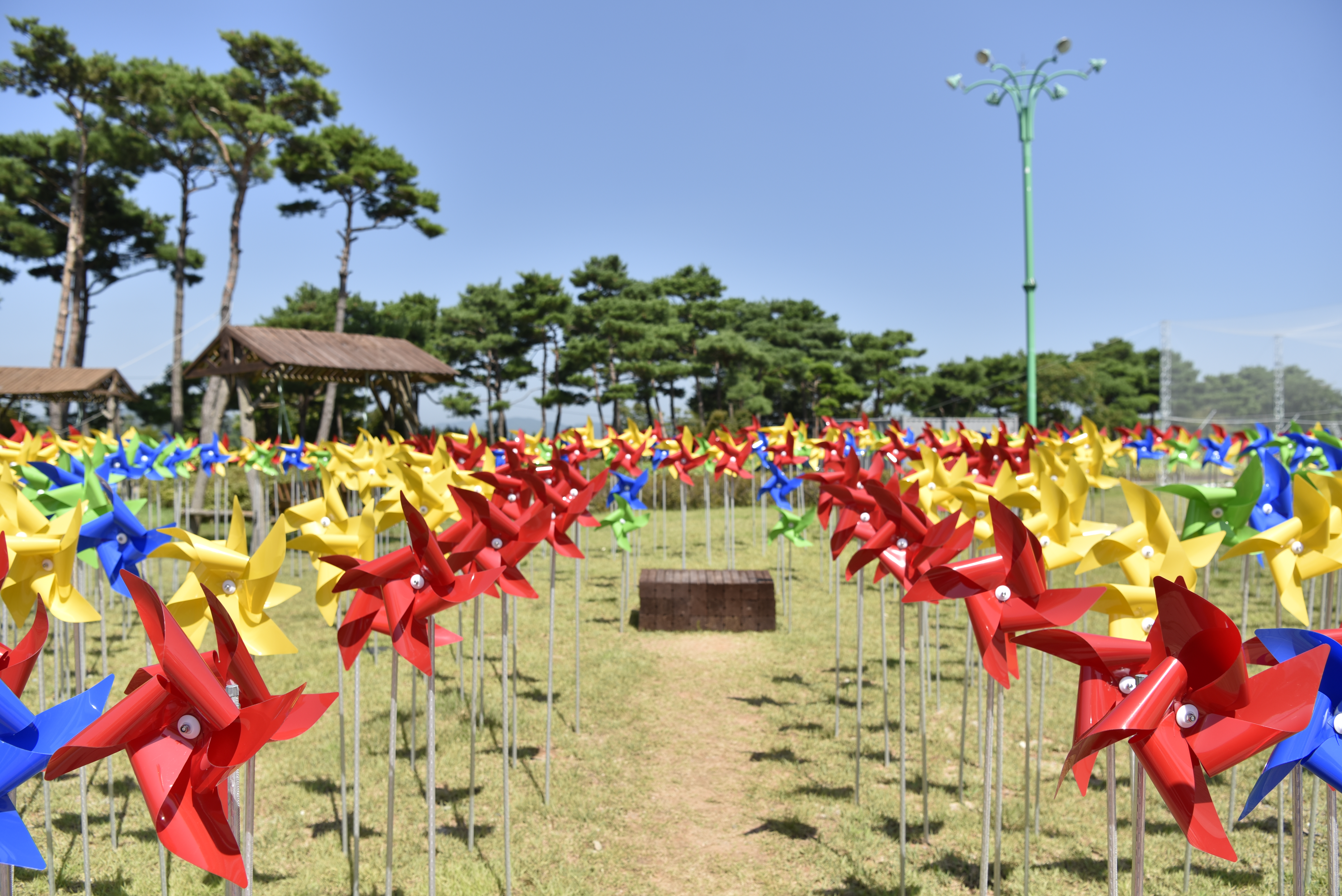 무안연꽃축제,지역축제,축제정보