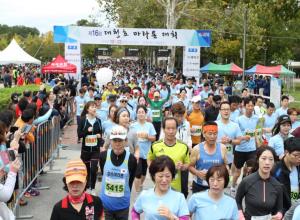 청원생명쌀 대청호마라톤대회,지역축제,축제정보