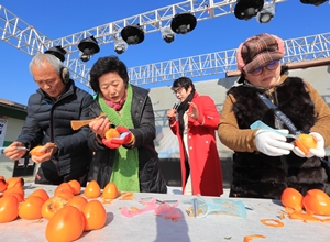 지리산산청곶감축제,지역축제,축제정보