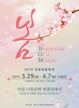 안동벚꽃축제,지역축제,축제정보