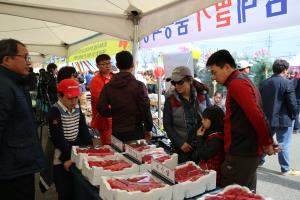 완주삼례딸기축제,국내여행,음식정보