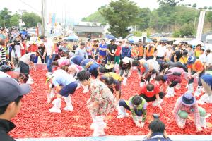 괴산고추축제,충청북도 괴산군,지역축제,축제정보