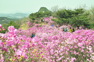 가현산 진달래축제,국내여행,음식정보