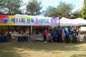 온새미로 축제,충청남도 보령시,지역축제,축제정보