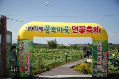 풍호마을연꽃축제,국내여행,음식정보