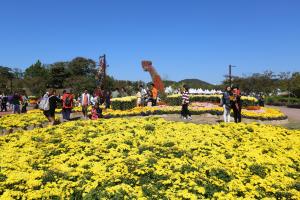 드림파크 국화축제,국내여행,음식정보