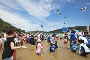 합천바캉스축제,경상남도 합천군,지역축제,축제정보