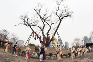 대전 서구 정월대보름제,국내여행,음식정보