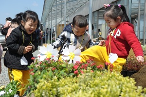 동구불로화훼봄꽃축제,국내여행,음식정보