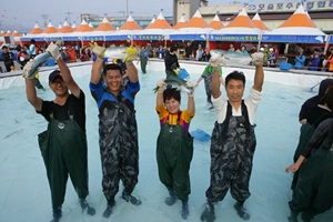 최남단방어축제,제주특별자치도 서귀포시,지역축제,축제정보