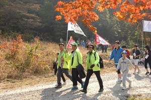 광릉 숲 축제,국내여행,음식정보