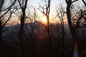 모락산해맞이행사,경기도 의왕시,지역축제,축제정보