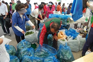 곤드레산나물축제,강원도 정선군,지역축제,축제정보