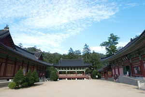 오대산문화축전,국내여행,음식정보