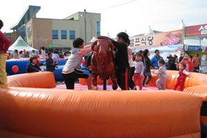 홍천 인삼한우명품축제,국내여행,음식정보