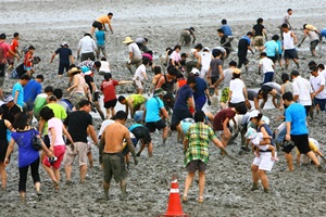 신안섬갯벌축제,국내여행,음식정보