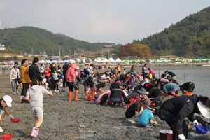 여자만갯벌노을축제,국내여행,음식정보