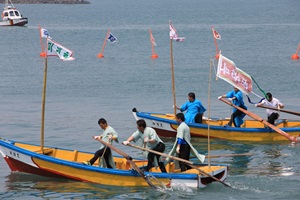 완도장보고수산물축제,국내여행,음식정보