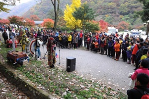 장성백양단풍축제,국내여행,음식정보