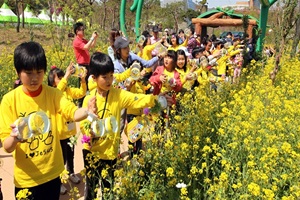 함평나비대축제,전라남도 함평군,지역축제,축제정보