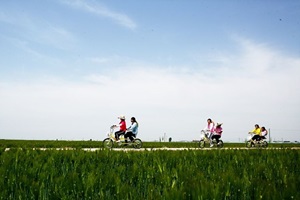 남포들녘보리문화축제,국내여행,음식정보