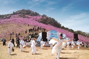 대금산진달래축제,국내여행,음식정보