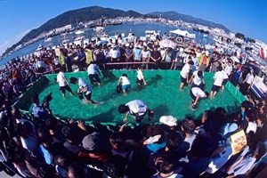 삼천포항수산물축제,국내여행,음식정보