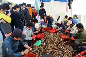 창원진동미더덕축제,국내여행,음식정보