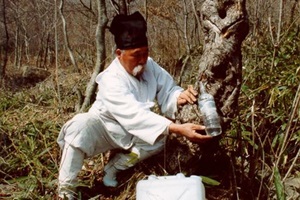 하동고로쇠축제,경상남도 하동군,지역축제,축제정보