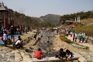 대가야축제,국내여행,음식정보