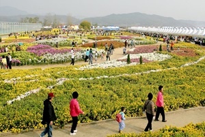 구미국화축제,국내여행,음식정보