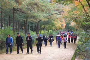 문경산악체전,국내여행,음식정보