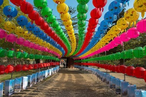 마곡사신록축제,국내여행,음식정보