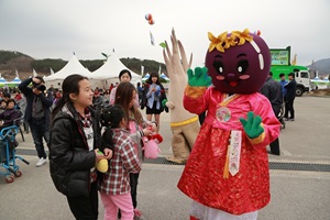 옥천묘목축제,국내여행,음식정보