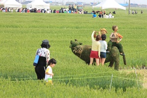 지평선 황금보리 추억의 보리밭축제 ,국내여행,음식정보