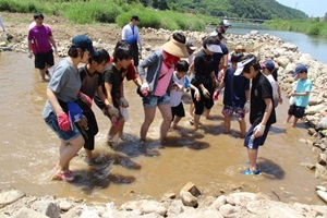 양평 메기수염축제,국내여행,음식정보