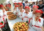 대저토마토축제,지역축제,축제정보