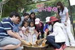 진동계곡산나물축제,지역축제,축제정보