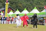 영광불갑산상사화축제,지역축제,축제정보