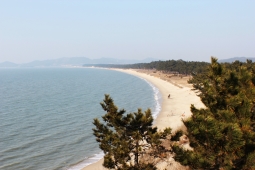 우전해수욕장,국내여행,여행지추천