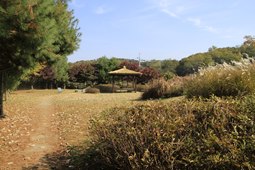 통현리 고인돌공원,국내여행,여행지추천