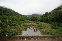 완도수목원,국내여행,여행지추천